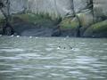 Bering Strait Crossing 020